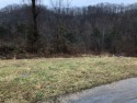 Here is the chance to build your home in the popular Deer Trace for sale in Bristol Tennessee Sullivan County County on GolfHomes.com