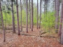 Wooded 2+ acre parcel at the foothills of Schuss Mountain for sale in Bellaire Michigan Antrim County County on GolfHomes.com