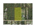 Vacant 5 Acres Residential Lot in Golden Gate Estates, a growing for sale in Naples Florida Collier County County on GolfHomes.com