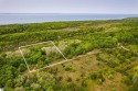 Build Your Dream Home Near Lake Michigan! This 5-acre parcel in for sale in Ellsworth Michigan Antrim County County on GolfHomes.com