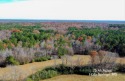 75 +/- acres of beautiful pasture, rolling hills, and hardwoods for sale in Holly Springs Mississippi Marshall County County on GolfHomes.com