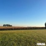 Beautiful .6 acre lot (also option to purchase adjoining .6 acre for sale in Sherman Illinois Sangamon County County on GolfHomes.com