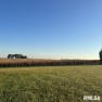 Beautiful .6 acre lot in desirable Rail Estates! (option to for sale in Sherman Illinois Sangamon County County on GolfHomes.com