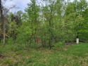 DESIREABLE LAKE ARROWHEAD ACCESS PROPERTY WITH WELL & SEPTIC! for sale in Nekoosa Wisconsin Adams County County on GolfHomes.com