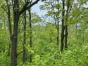 17 acres, the south/road-side is 3.5 acres of open meadow. It for sale in Vanderbilt Michigan Otsego County County on GolfHomes.com