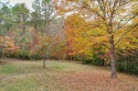 A spacious and scenic lot in the desirable Millbrook area awaits for sale in Franklin North Carolina Macon County County on GolfHomes.com