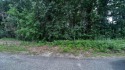 Beautiful lot to build your dream home on located in Bown Lake for sale in Gowen Michigan Kent County County on GolfHomes.com