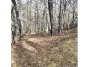 Charming wooded lot in the prestigious Smoky Mountain Country for sale in Whittier North Carolina Swain County County on GolfHomes.com