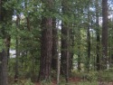 5 BUILDING LOTS ACROSS FROM GOLF COUSE.  4 LOTS ARE 100 FRONT for sale in Weldon North Carolina Halifax County County on GolfHomes.com