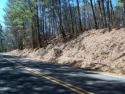 Wooded lots with no restrictions.  This parcel combines 5 for sale in Columbia South Carolina Richland County County on GolfHomes.com