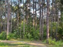 Beautiful one acre parcel on School Road.  Well, septic system for sale in Daufuskie Island South Carolina Beaufort County County on GolfHomes.com