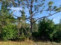 Build your dream home or use as an investment property!!  This for sale in Indian Lake Estates Florida Polk County County on GolfHomes.com