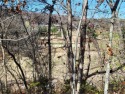 This lot sits high above the Scottsdale golf course and will for sale in Bella Vista Arkansas Benton County County on GolfHomes.com