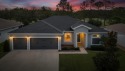 Under contract-accepting backup offers. Impeccable for sale in Sun City Center Florida Hillsborough County County on GolfHomes.com