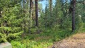 Come build your dream home on this 0.4 ac level, wooded parcel for sale in New Meadows Idaho Adams County County on GolfHomes.com