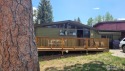 Charming cabin near Estes Park's 18 Hole Golf Course! Two for sale in Estes Park Colorado Larimer County County on GolfHomes.com