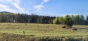 Gorgeous 2.07 acre view lot in beautiful Falcon Point for sale in Mccall Idaho Valley County County on GolfHomes.com