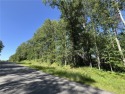 VERY MOTIVATED SELLERS! Heavily wooded lot with great location for sale in Breezy Point Minnesota Crow Wing County County on GolfHomes.com