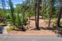 Magnificent Lot! Flat building site with open views to St for sale in Cobb California Lake County County on GolfHomes.com