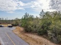 Very nice, large, cul-de-sac lot. Paved road access.  Across the for sale in Chipley Florida Washington County County on GolfHomes.com