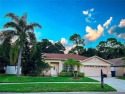 Newly renovated!  Vinyl flooring throughout the house!  New for sale in Tampa Florida Hillsborough County County on GolfHomes.com