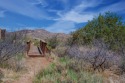  Ad# 6026383 golf course property for sale on GolfHomes.com