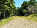 Discover an exceptional, buildable 3-lot package nestled in a for sale in Bastrop Texas Bastrop County County on GolfHomes.com