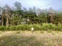 Magnificent 0.82 acre building site, overlooking Hamlet Lake, at for sale in Stanwood Michigan Mecosta County County on GolfHomes.com