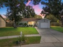 Welcome home to this charming Summerfield gem in Riverview! This for sale in Riverview Florida Hillsborough County County on GolfHomes.com