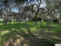 Stunning lot with mature trees in highly sought after for sale in Belton Texas Bell County County on GolfHomes.com