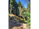 Calling all contractors/builders-fantastic opportunity to build for sale in Boulder Creek California Santa Cruz County County on GolfHomes.com