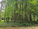 Beautiful Scenic Building Site -- Just Minutes from Downtown for sale in Saugatuck Michigan Allegan County County on GolfHomes.com