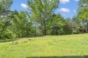  Ad# 6139300 golf course property for sale on GolfHomes.com