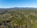 One of the very best MOUNTAIN VIEW lots in Buckhorn Estates! for sale in Ellijay Georgia Gilmer County County on GolfHomes.com