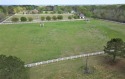Beautiful 4.28 acre lot for sale overlooking the Fernwood for sale in Mccomb Mississippi Pike County County on GolfHomes.com