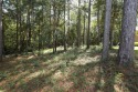 Priced to sell!  Beautiful lots in The Village Subdivision! New for sale in Hattiesburg Mississippi Forrest County County on GolfHomes.com