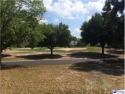 Beautiful, large lot with the most amazing view of the 11th for sale in Florence South Carolina Florence County County on GolfHomes.com
