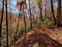 This 1.954-acre lot, set at an elevation of just over 3,000 feet for sale in Whittier North Carolina Jackson County County on GolfHomes.com