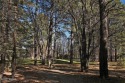 Ok, Try and find a vacant fairway lot to buy for under $300,000 for sale in Pinetop Arizona Navajo County County on GolfHomes.com