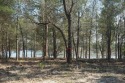 Sunny Hills lot on Boat Lake with great sunrise views, lot has for sale in Chipley Florida Washington County County on GolfHomes.com