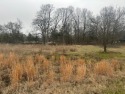 Discover the perfect spot to build your dream home on this for sale in Paris Texas Lamar County County on GolfHomes.com