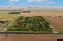 Here is your chance to own your own slice of paradise in South for sale in Elmore Minnesota Faribault County County on GolfHomes.com