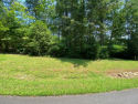 FANTASTIC lot waiting for you to build your mountain retreat for sale in Murphy North Carolina Cherokee County County on GolfHomes.com
