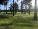 Incredible, gated, Riverton Pointe lot. Almost 1/2 acre in size for sale in Hardeeville South Carolina Jasper County County on GolfHomes.com