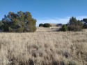Build ready 0.37 acre located on Pate Lane in Concho near Concho for sale in Concho Arizona Apache County County on GolfHomes.com