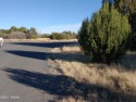 Large corner lot in Concho Valley near the school. Corner of Tee for sale in Concho Arizona Apache County County on GolfHomes.com