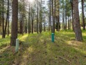  Ad# 6545690 golf course property for sale on GolfHomes.com
