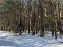 Absolutely beautiful acreage here with tall trees that are for sale in Boydton Virginia Mecklenburg County County on GolfHomes.com