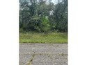 Nestled in the heart of Citrus Springs, this residential for sale in Dunnellon Florida Citrus County County on GolfHomes.com
