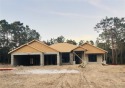 Brand New Quality Built Construction in Desirable Pine Ridge for sale in Beverly Hills Florida Citrus County County on GolfHomes.com